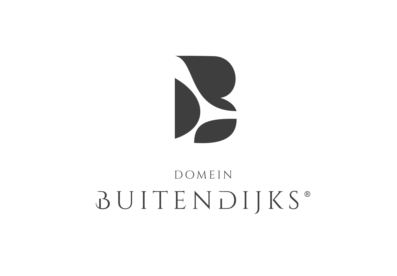 Logo Domein Buitendijks